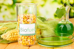 Budleigh Salterton biofuel availability